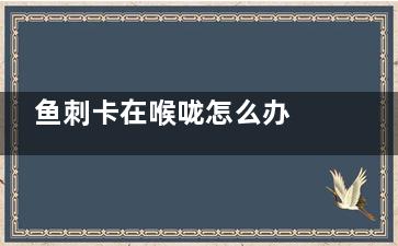 鱼刺卡在喉咙怎么办 教你应急处理小妙招,喉镜取物多少钱做一次